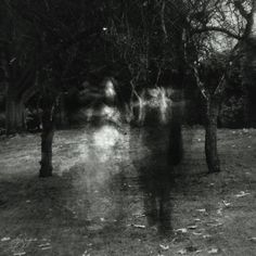 b036d213fe8b2fab558a28ed4219dbb9